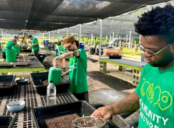 Tree Nursery Volunteer Day 3